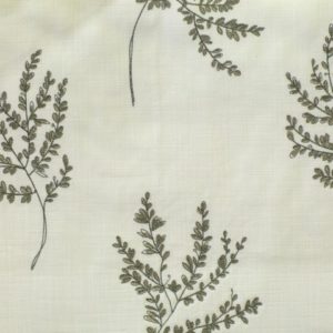 HERBARIUM 04 NIGELLA