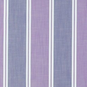 SOCIETY 18 HYACINTH