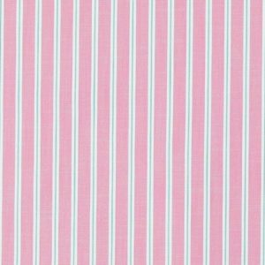TROUPER 54 ROSE