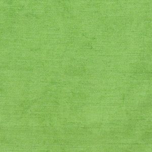 SPECKLE 10 MOSS