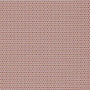 Maroma 21 Praline
