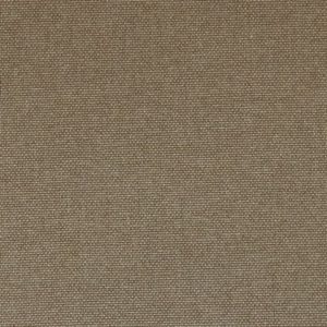 MERINO 40 SHARK