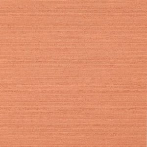 NOVA 36 AMBER