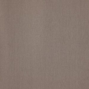 INSIGHT 04 TRUFFLE