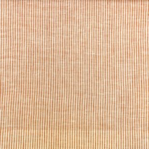 EGO STRIPED 024